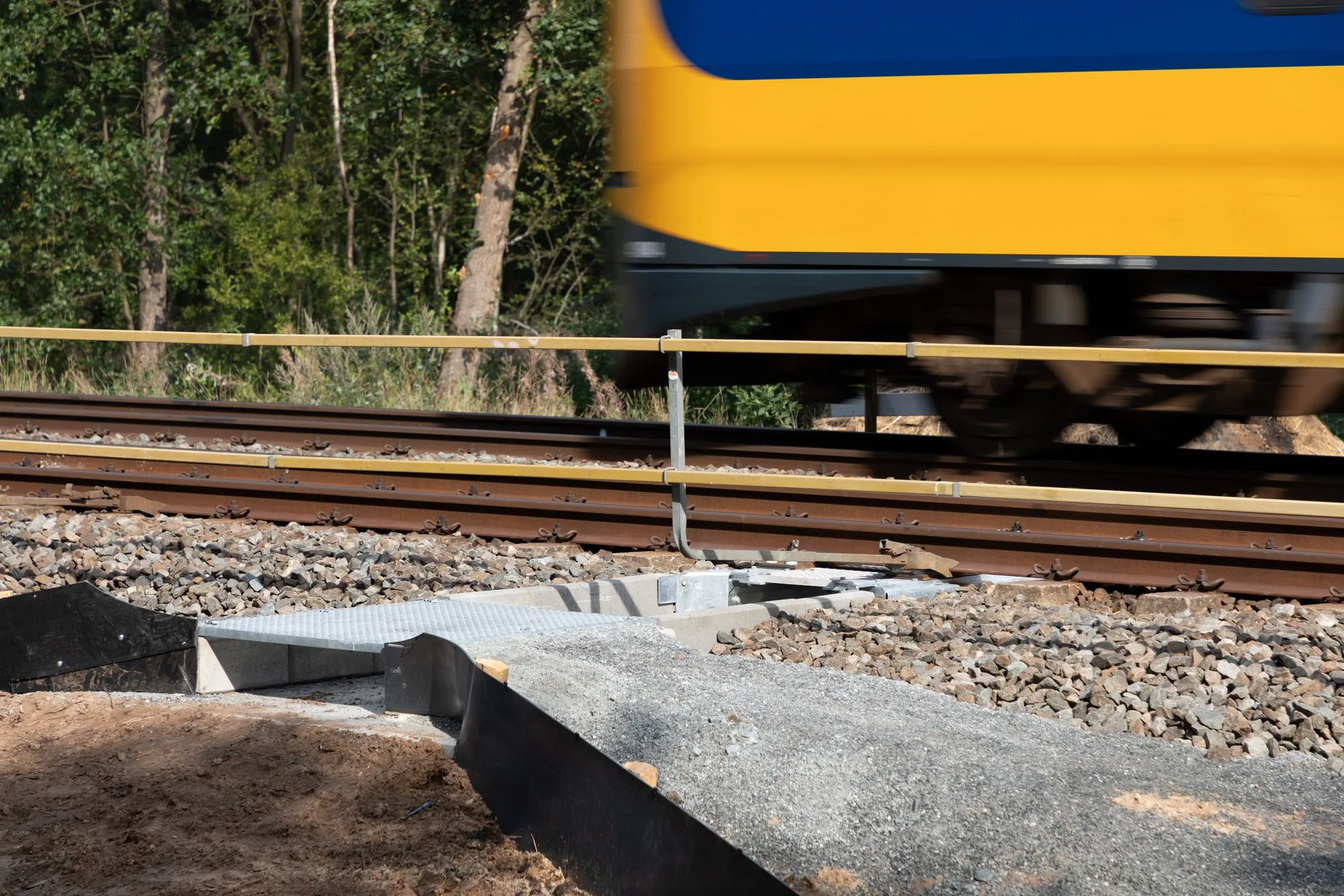 The fauna passage beside the track as a yellow and blue train passes