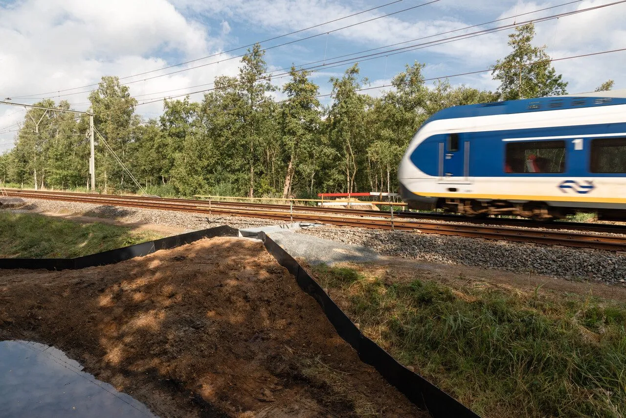 Overview of the fauna passage with guide walls along the track as a train passes